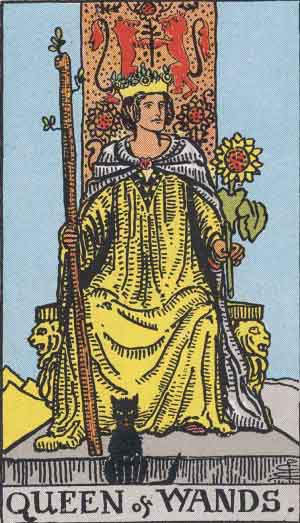Queen of Wands queen of wands from rider Waite tarot