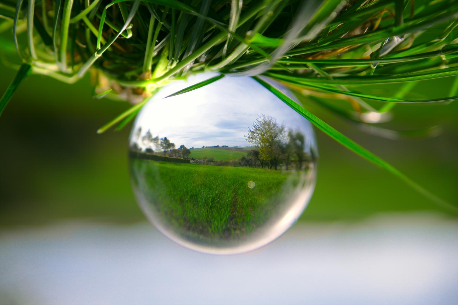 The Writer's Eye