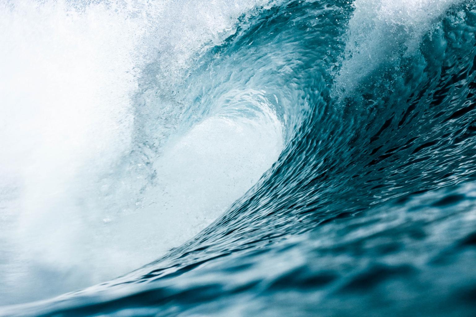 Writing the Wave, an online writing course for aspiring writers