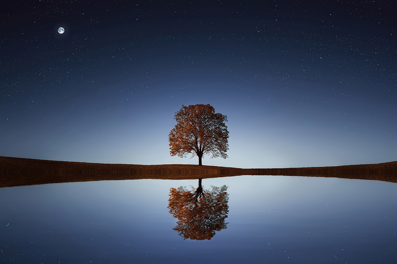 Writing to Truth_The Second Person retreat image of perfect reflection of tree and night sky on calm water