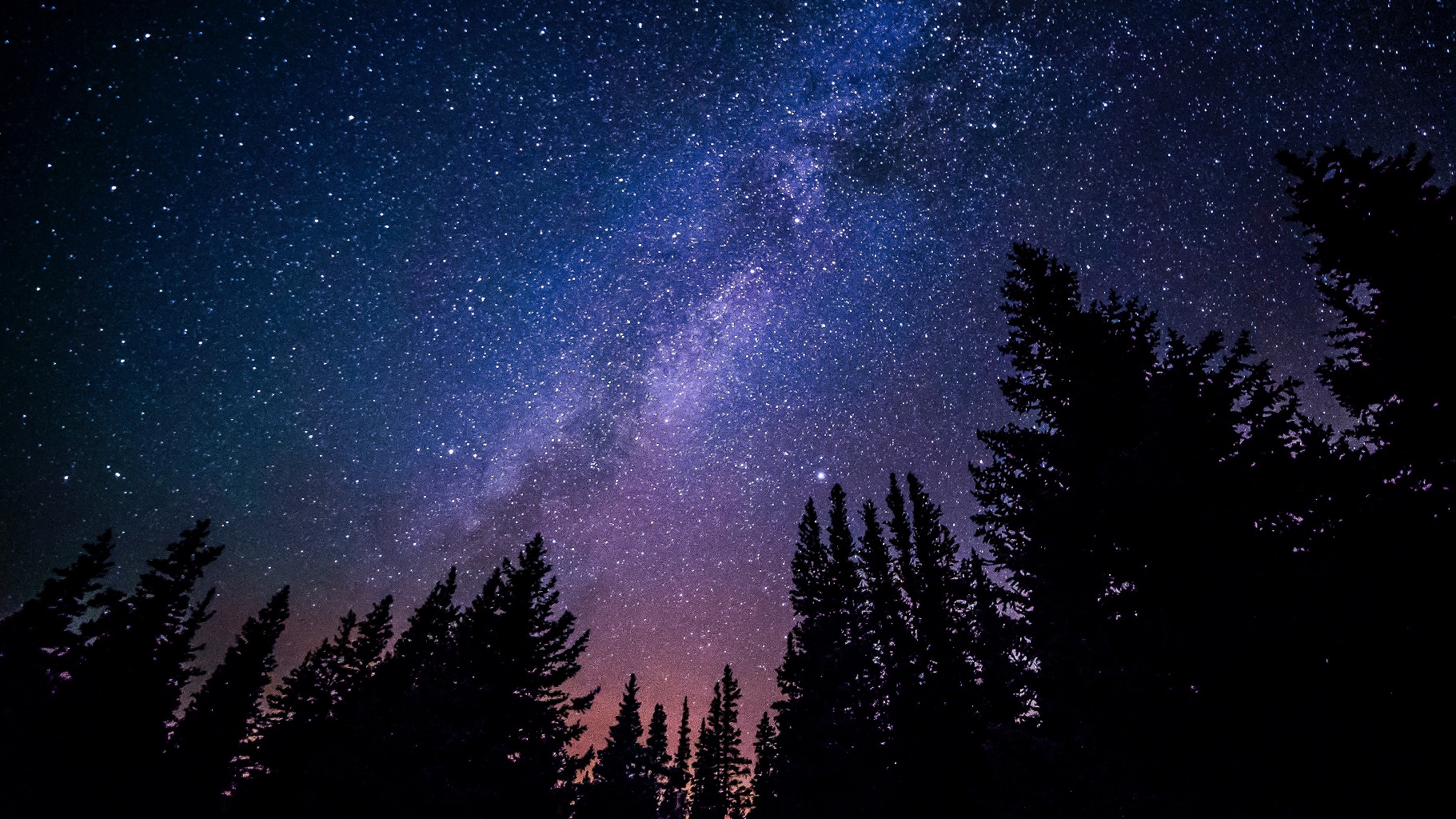 Virtual Write for Your Life retreat (image of starry sky above pine trees)