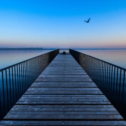 photo of a wooden bridge at dusk extending out over water with a bird flying overheard via Canva