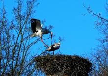 May 2020 photo writing prompt