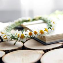 image of a daisy chain crown on top of a book sitting on a surface of upturned cut logs via word swag