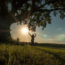 a silhouette of a woman dancing in the sun in a meadow under a tall leaning tree via canva